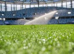 多哈田径世,锦赛圆满收,中国代表团,超凡国际电子官网,超凡国际电子视讯,超凡国际电子娱乐,超凡国际电子注册,超凡国际电子平台,超凡国际电子试玩