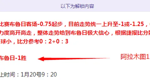 “揭秘神秘对决：泽德马斯里杯赛数据奇谭前瞻”